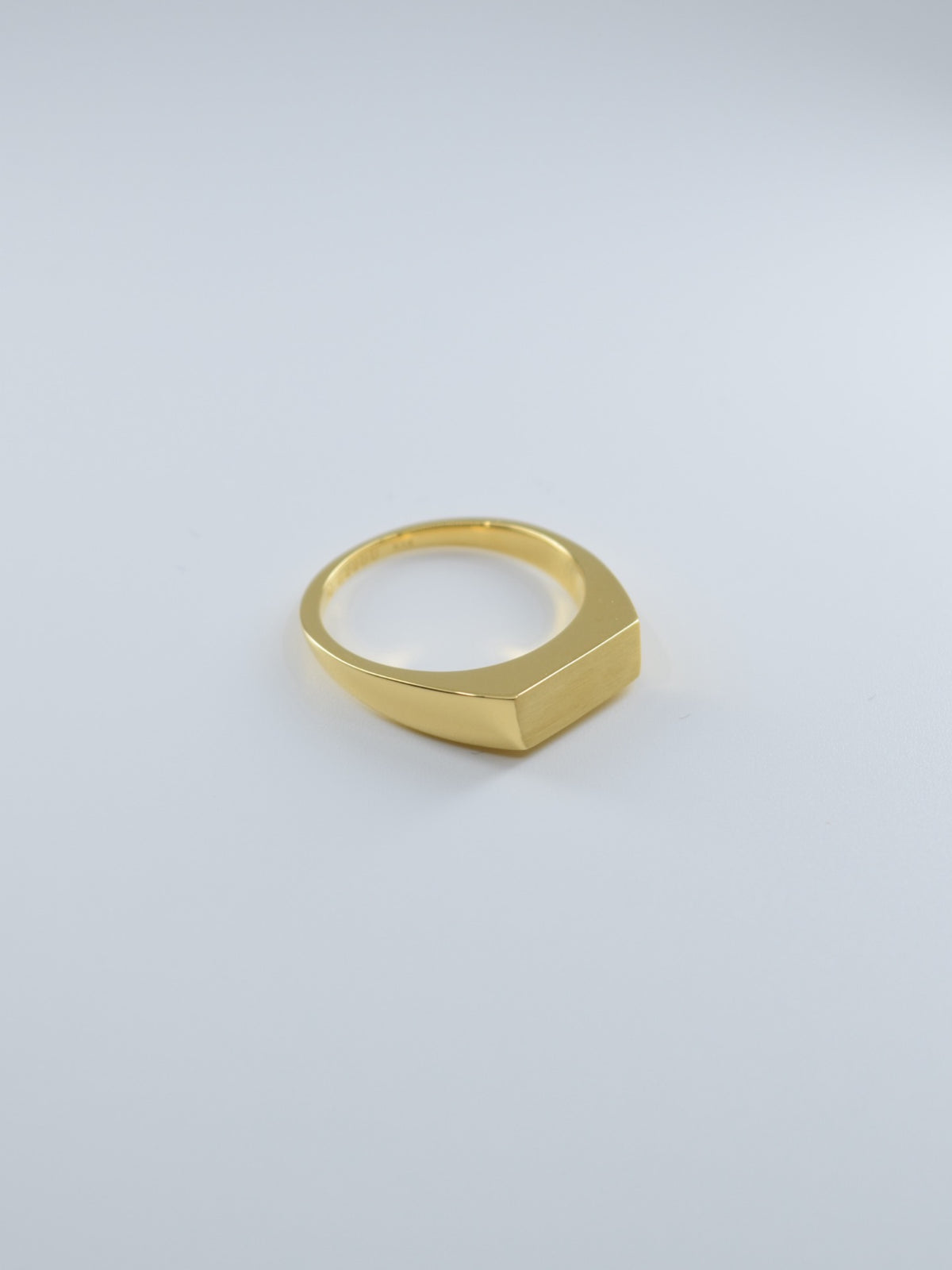 【サンプル貸出専用ページ】18K Goldコーティング Intent Loss Signet Ring 50/100 - JP Size #11