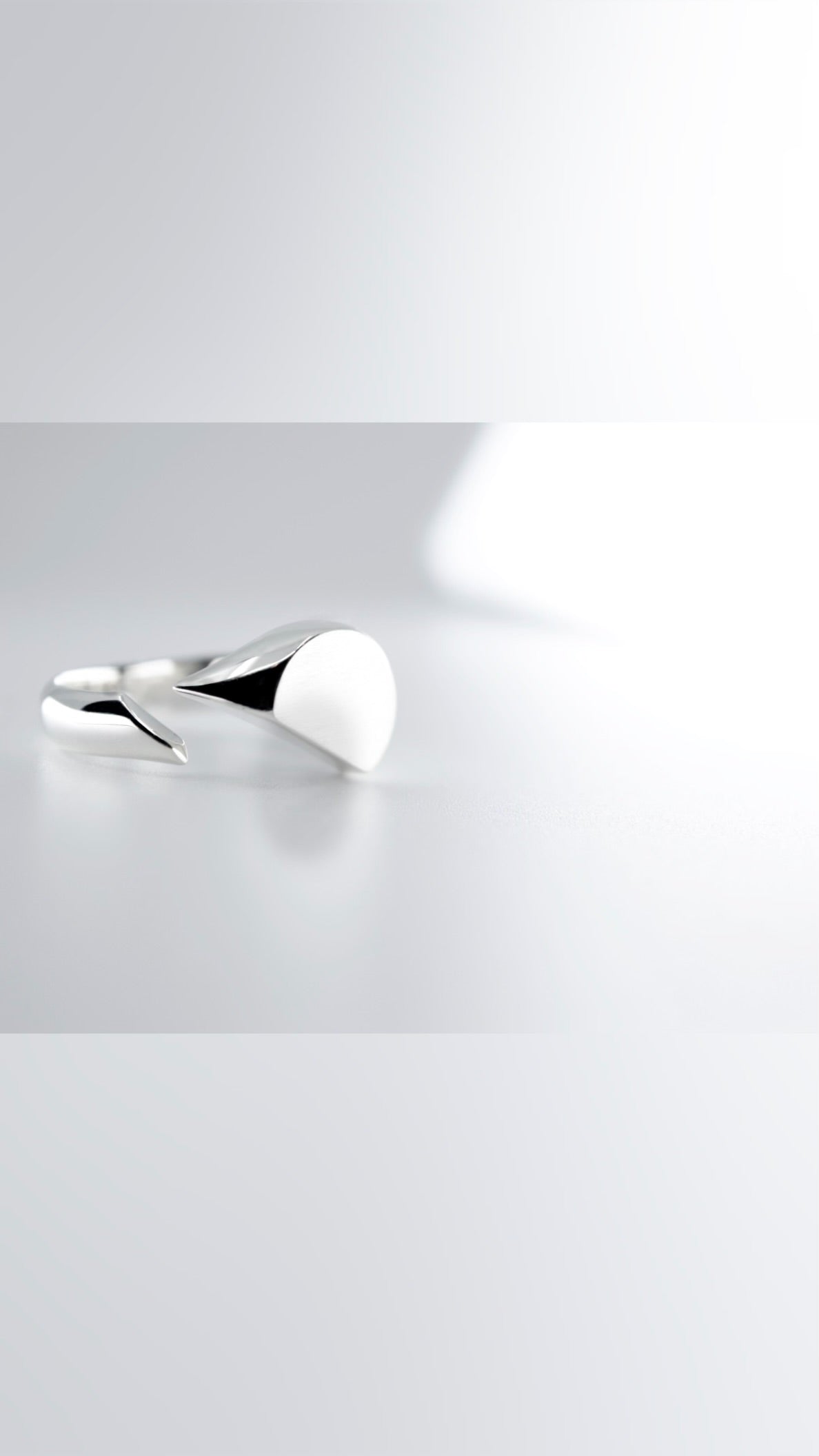 Intent Loss Circle Signet Ring (SILVER)#21~#25(JP)